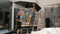 Aquamen Le SOS de Wyclef