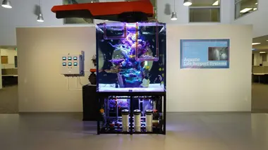 Aquamen A pleins tubes