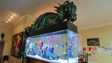 Aquamen Donjon et poissons