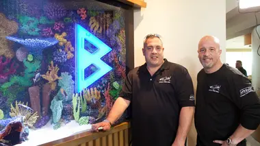 Aquamen L'aquarium bestial de Marshawn Lynch