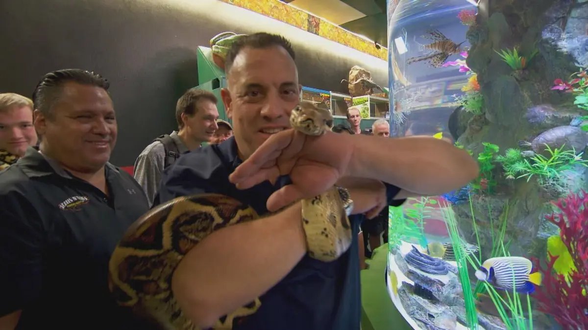 Visuel de Aquamen L'aquarium d'un boxeur