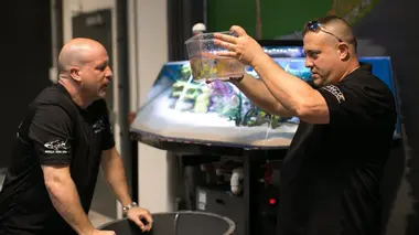 Aquamen L'aquarium de Gabriel Iglesias