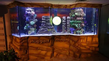 Aquamen L'aquarium de Sherri Shepherd