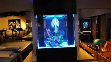 Aquamen S03E08 C'est le docteur qui l'a dit