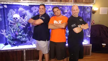 Aquamen Un aquarium ou rien
