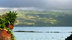 Aquariums : The Dark Hobby