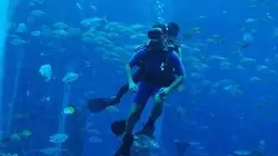 Aquatis : au coeur du zoo aquatique le plus incroyable du monde