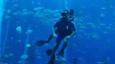 Aquatis : au coeur du zoo aquatique le plus incroyable du monde
