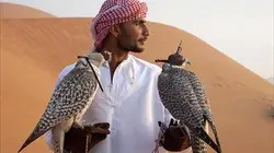 Visuel de Arabie sauvage