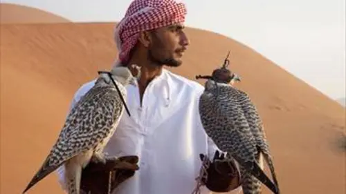 Arabie sauvage S01E03 Au coeur du désert