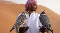 Visuel de Arabie sauvage
