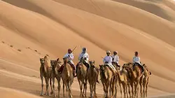 Visuel de Arabie sauvage