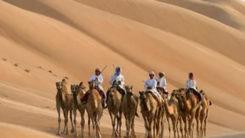 Casting Arabie sauvage E01 Au pays des déserts