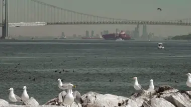 Le retour de la nature