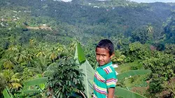 Archipels Le paradis des derniers Kalinagos