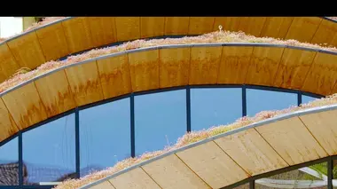 La paille : nature et technologie