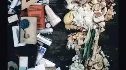 Arcimboldo, portrait d'un audacieux