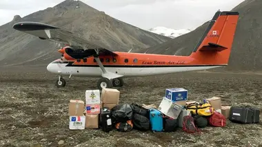 Arctique, le jour d'après