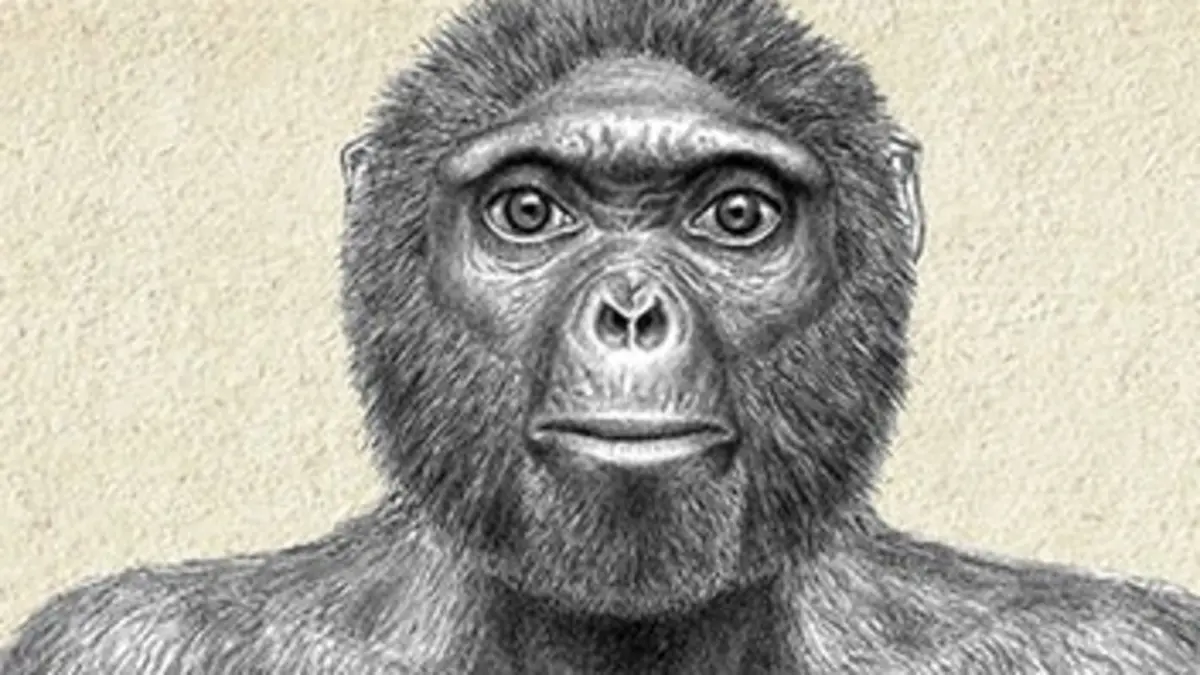 Ardi, les origines de l'Homme