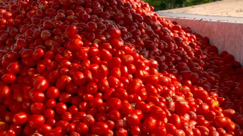 Audiences TV : Arnaques à l'italienne