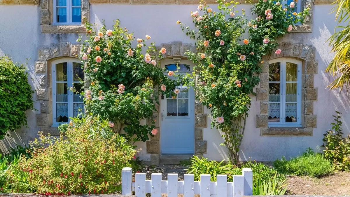 Visuel de Arnaques ! S06E06