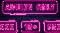 Visuel de Art Porn 2 : les chaleurs de la nuit