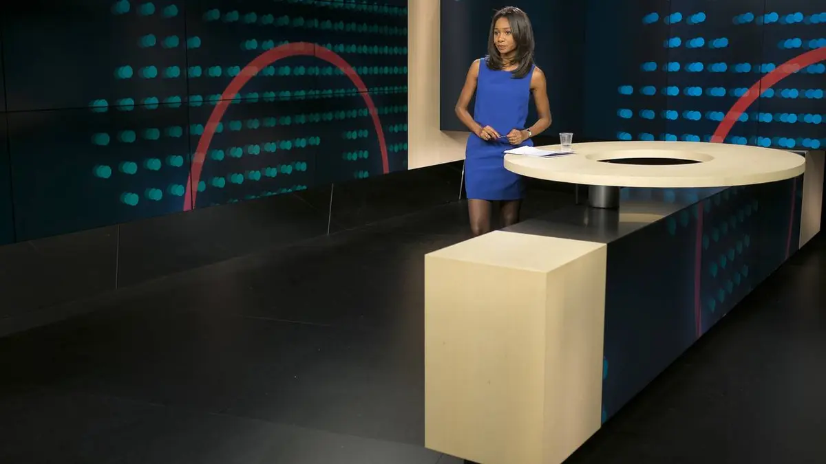 Arte journal Édition du soir (29/03/2021)
