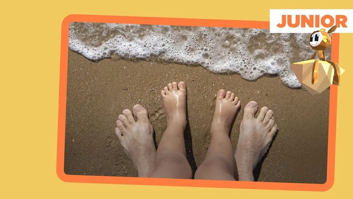ARTE Junior, le mag Pourquoi les vacances sont-elles si importantes ?