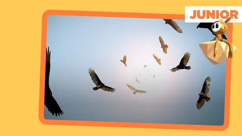 ARTE Junior, le mag Tous au zoo !