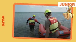 ARTE Junior, le mag Mission : Surveiller la plage