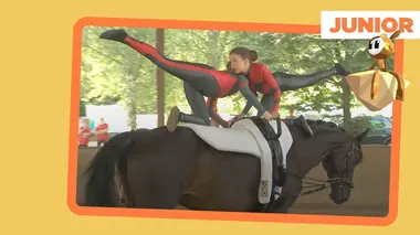 Le sport, c'est pour tout le monde!