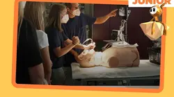 ARTE Junior, le mag Tout sur notre corps