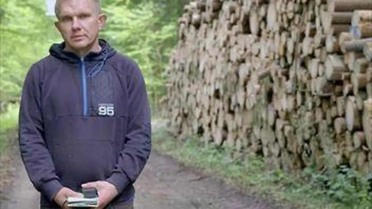 Arte regards Arbres en danger : agir pour sauver la forêt primaire en Pologne
