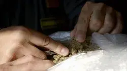 Arte regards En guerre contre le cannabis made in Europe