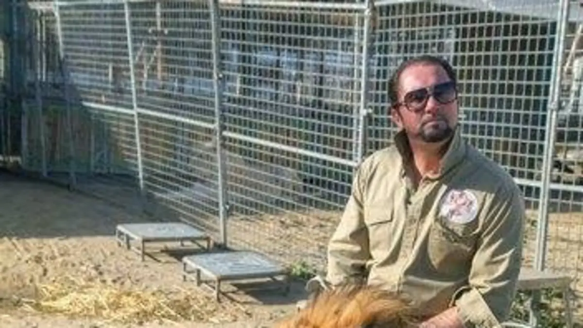 Arte Regards Chapiteaux sans animaux : des militants animalistes contre les cirques