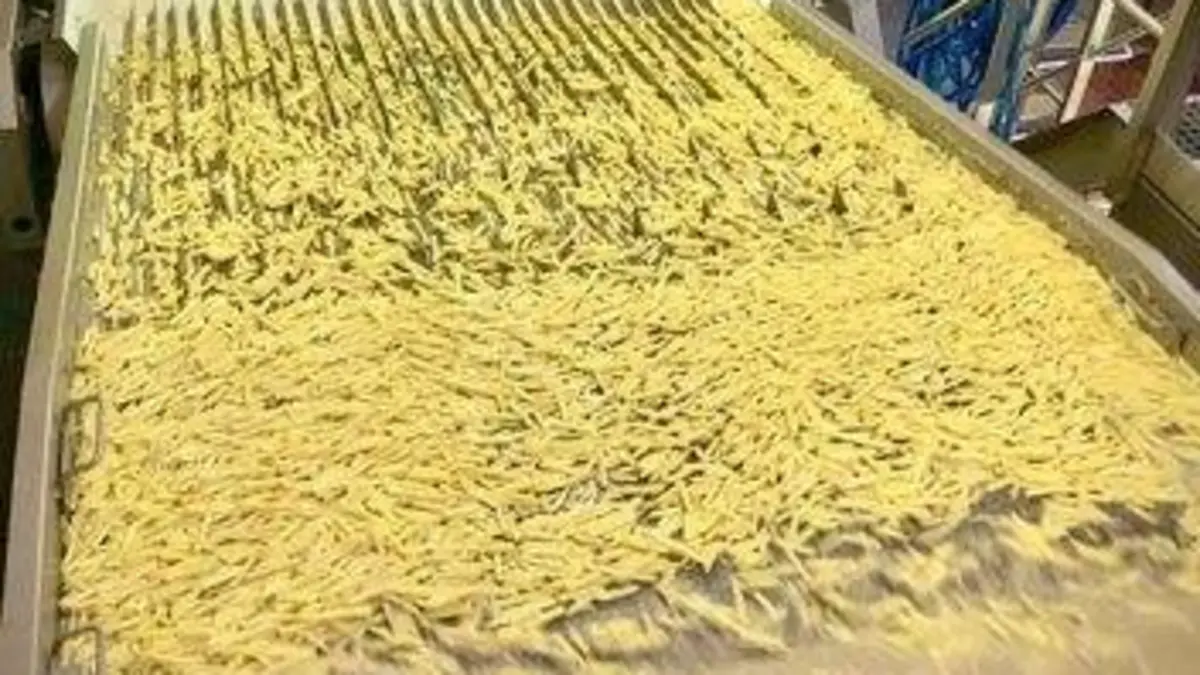 Arte Regards Patates : la filière n'a plus la frite