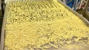 Patates : la filière n'a plus la frite