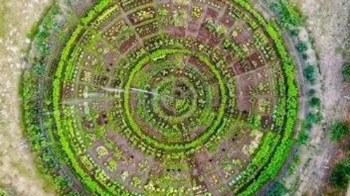 Arte Regards Produire et manger local