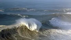 Arte Regards Le Big Wave Surfing au Portugal