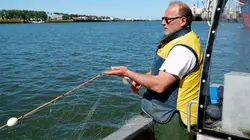 Arte Regards E726 Quel avenir pour le roi des Gaves ?