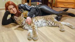 Arte Regards  E560 Russie, un félin à tout prix