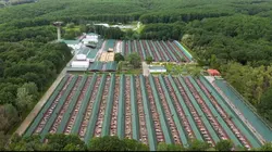 Arte Regards E734 Offrir une nouvelle vie aux animaux maltraités