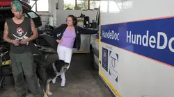 Arte Regards E611 Passion vétérinaire