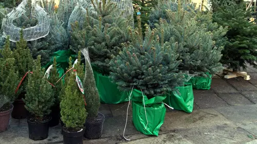 Arte Regards E802 Vers un Noël écoresponsable ?