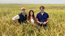 Arte Regards  E833 Tout un fromage !