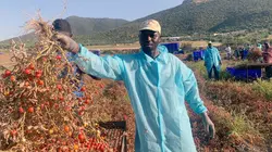 Arte Regards  E851 Vers plus de reconnaissance professionnelle