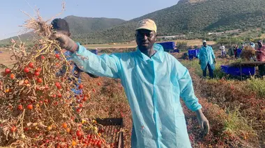 Vers plus de reconnaissance professionnelle