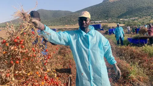 Arte Regards E851 Vers plus de reconnaissance professionnelle