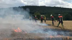 Arte Regards  E604 Feux de forêts en Allemagne