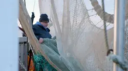 Arte Regards  E903 Pêcheurs de crevettes